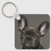 Kutest Baby Animals | Franse Bulldog Sleutelhanger (Voorkant)