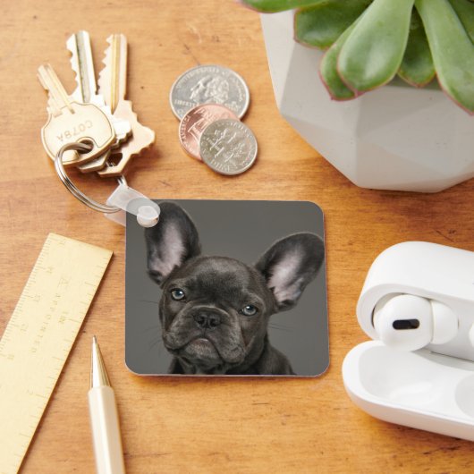 Kutest Baby Animals | Franse Bulldog Sleutelhanger (Bureau)