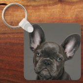 Kutest Baby Animals | Franse Bulldog Sleutelhanger (Voorkant)
