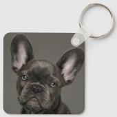 Kutest Baby Animals | Franse Bulldog Sleutelhanger (Achterkant)