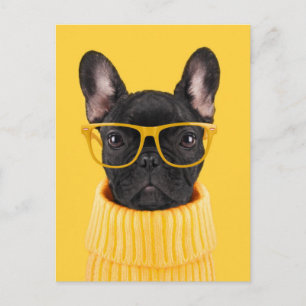 Kutest Baby Animals   Franse Bulldog Sunbril Briefkaart