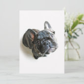 Kutest Baby Animals | Franse Bulldog Up Bedankkaart (Staand voorkant)