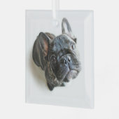 Kutest Baby Animals | Franse Bulldog Up Glas Ornament (Voorkant links)