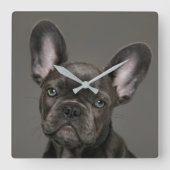 Kutest Baby Animals | Franse Bulldog Vierkante Klok (Voorkant)