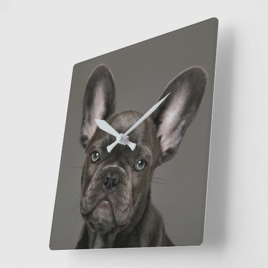 Kutest Baby Animals | Franse Bulldog Vierkante Klok (Hoek)