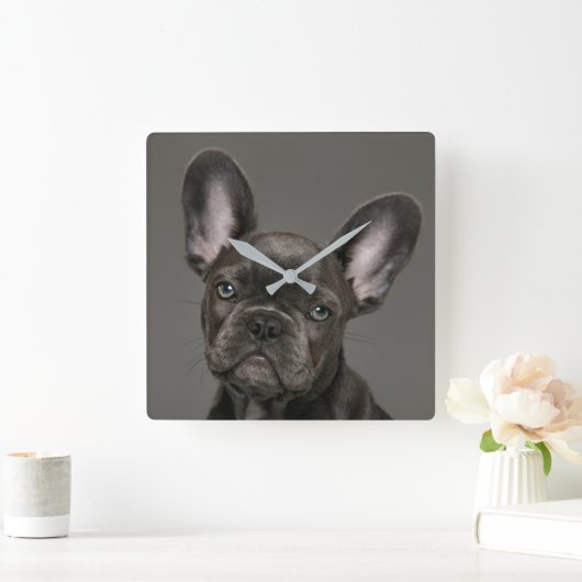 Kutest Baby Animals | Franse Bulldog Vierkante Klok (Huis)