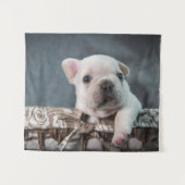 Kutest Baby Animals | Franse Bulldog Wandkleed (Voorkant (horizontaal))