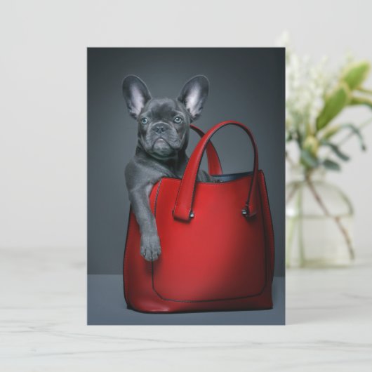 Kutest Baby Animals | Franse hond in handtas Bedankkaart (Staand voorkant)