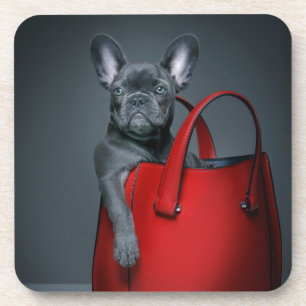 Kutest Baby Animals   Franse hond in handtas Bier Onderzetter