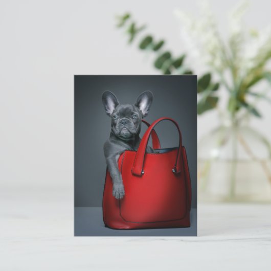Kutest Baby Animals | Franse hond in handtas Briefkaart (Staand voorkant)