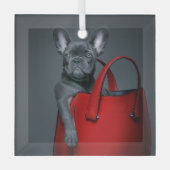 Kutest Baby Animals | Franse hond in handtas Glas Ornament (Voorkant)