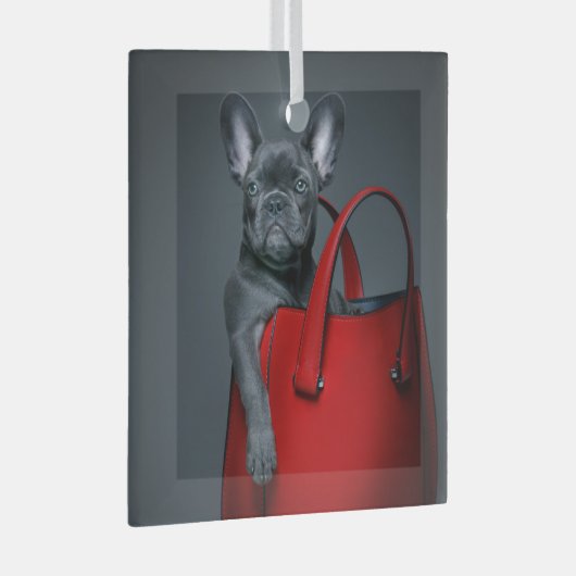 Kutest Baby Animals | Franse hond in handtas Glas Ornament (Voorkant Rechts)
