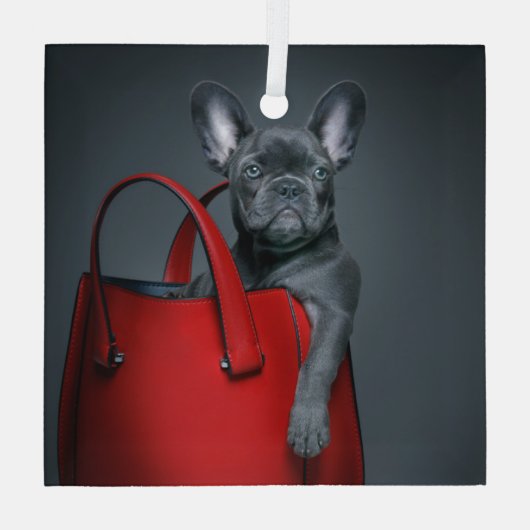 Kutest Baby Animals | Franse hond in handtas Glas Ornament (Achterkant)