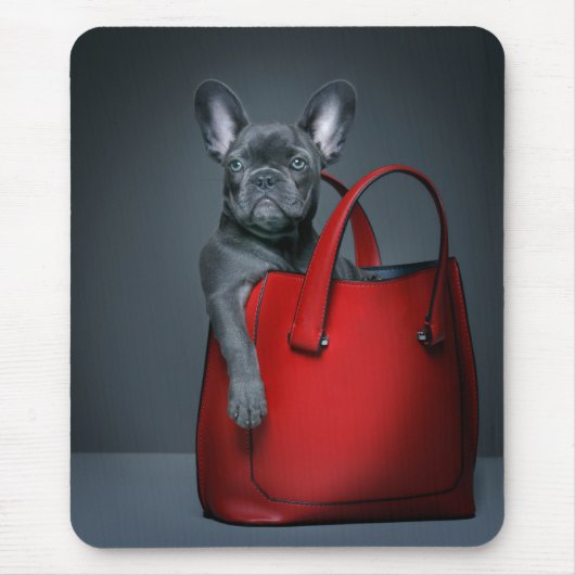 Kutest Baby Animals | Franse hond in handtas Muismat (Voorkant)