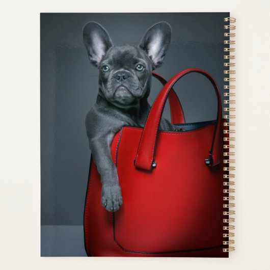 Kutest Baby Animals | Franse hond in handtas Planner (Achterkant)