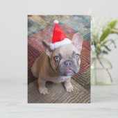 Kutest Baby Animals | Franse kerstfeestdag Bedankkaart (Staand voorkant)