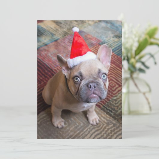 Kutest Baby Animals | Franse kerstfeestdag Bedankkaart (Staand voorkant)