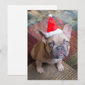 Kutest Baby Animals | Franse kerstfeestdag Bedankkaart (Voorkant / Achterkant)