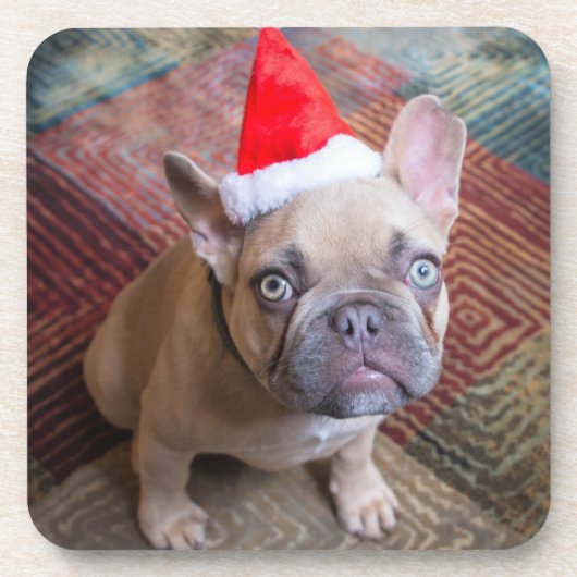 Kutest Baby Animals | Franse kerstfeestdag Bier Onderzetter (Voorkant)