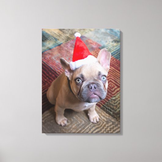 Kutest Baby Animals | Franse kerstfeestdag Canvas Afdruk (Voorkant)
