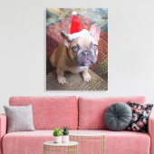 Kutest Baby Animals | Franse kerstfeestdag Canvas Afdruk (Insitu (Woonkamer))
