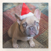 Kutest Baby Animals | Franse kerstfeestdag Glazen Onderzetter (Voorkant)