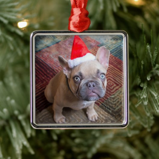 Kutest Baby Animals | Franse kerstfeestdag Metalen Ornament (Boom)