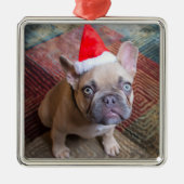 Kutest Baby Animals | Franse kerstfeestdag Metalen Ornament (Voorkant)