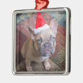 Kutest Baby Animals | Franse kerstfeestdag Metalen Ornament (Links)