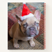 Kutest Baby Animals | Franse kerstfeestdag Notitieboek (Achterkant)