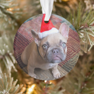 Kutest Baby Animals Franse kerstfeestdag Ornament