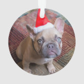 Kutest Baby Animals | Franse kerstfeestdag Ornament (achterkant)