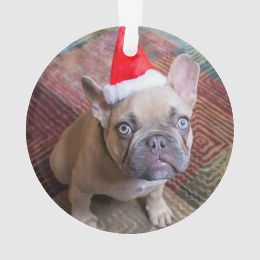 Kutest Baby Animals | Franse kerstfeestdag Ornament (achterkant)