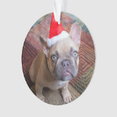 Kutest Baby Animals | Franse kerstfeestdag Ornament (voorkant)