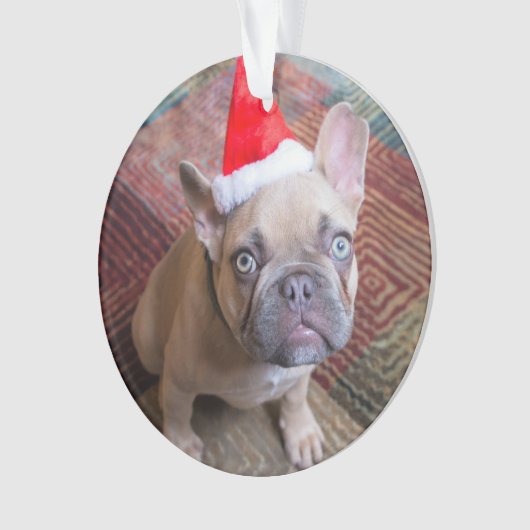 Kutest Baby Animals | Franse kerstfeestdag Ornament (voorkant)