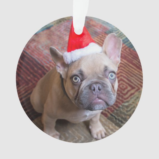 Kutest Baby Animals | Franse kerstfeestdag Ornament (voorkant)