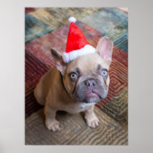 Kutest Baby Animals | Franse kerstfeestdag Poster (Voorkant)