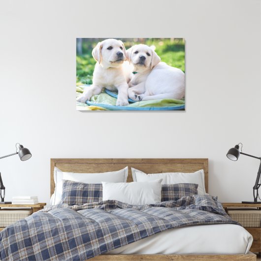 Kutest Baby Animals | Gele labrador Retrievers Canvas Afdruk (Insitu (Slaapkamer))