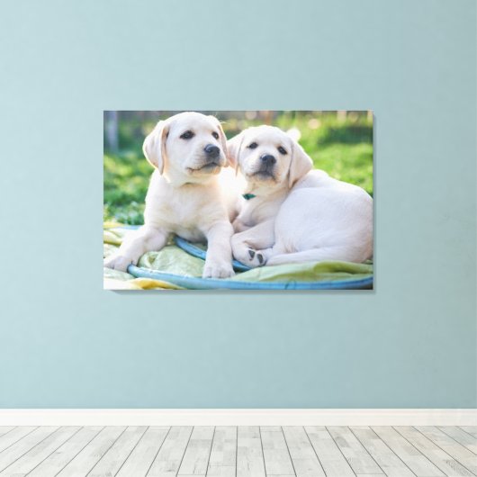Kutest Baby Animals | Gele labrador Retrievers Canvas Afdruk (Insitu (Houten vloer))