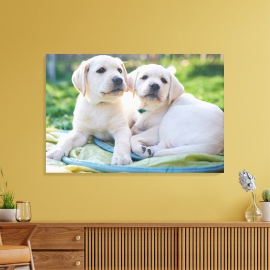 Kutest Baby Animals | Gele labrador Retrievers Canvas Afdruk (Insitu (Woonkamer))