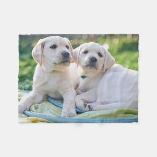 Kutest Baby Animals | Gele labrador Retrievers Fleece Deken (Voorkant (Horizontaal))