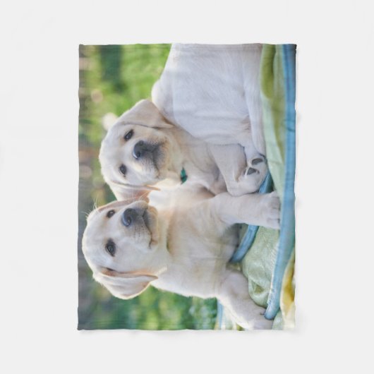 Kutest Baby Animals | Gele labrador Retrievers Fleece Deken (Voorkant)