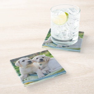 Kutest Baby Animals Gele labrador Retrievers Glazen Onderzetter