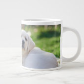 Kutest Baby Animals | Gele labrador Retrievers Grote Koffiekop (Rechts)