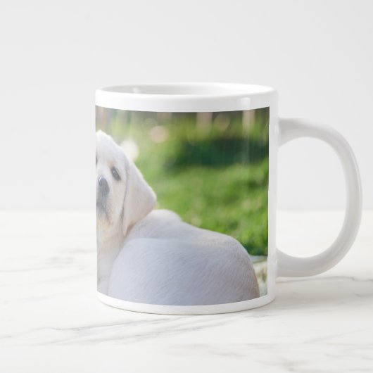 Kutest Baby Animals | Gele labrador Retrievers Grote Koffiekop (Rechts)