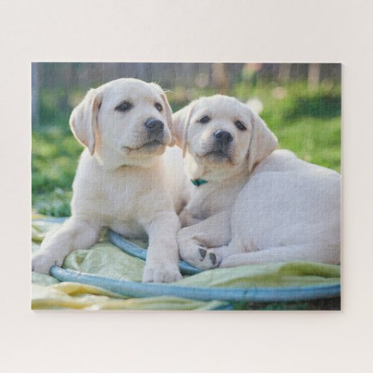 Kutest Baby Animals | Gele labrador Retrievers Legpuzzel (Horizontaal)