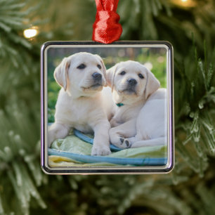 Kutest Baby Animals Gele labrador Retrievers Metalen Ornament