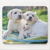 Kutest Baby Animals | Gele labrador Retrievers Muismat (Voorkant)