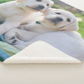 Kutest Baby Animals | Gele labrador Retrievers Sherpa Deken (3/4)