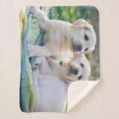 Kutest Baby Animals | Gele labrador Retrievers Sherpa Deken (Voorkant)